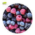 Wholesale Bulk Distribute frozen mixed berries